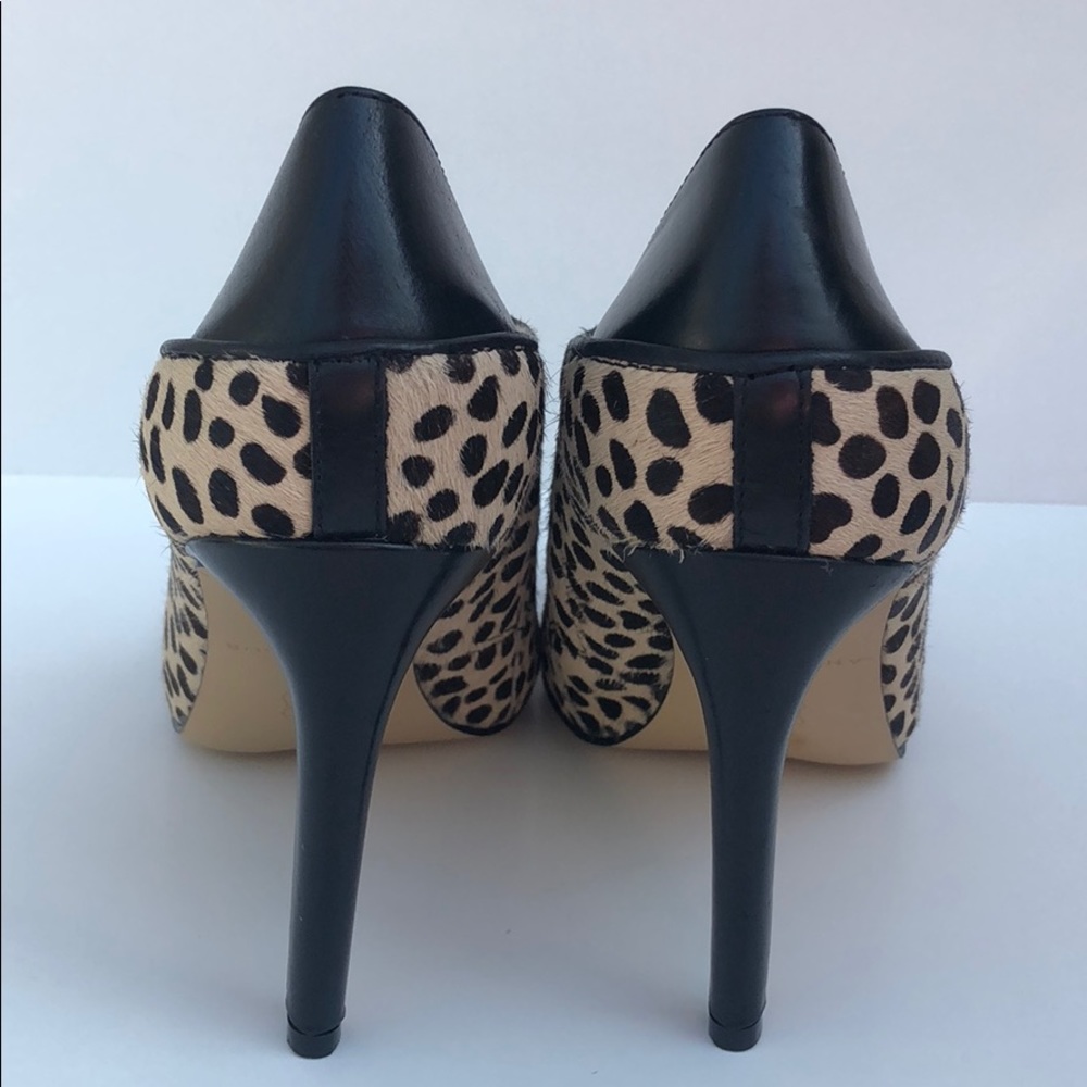 Ann Taylor Ankle Bootie Calf HairAnimal Print NWOB - Picture 6 of 8